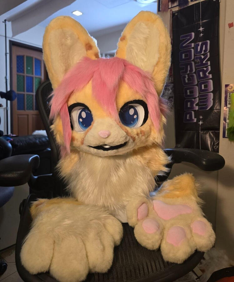 Avery the Serval