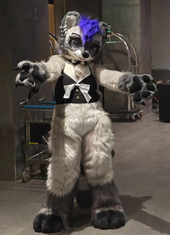 Ares the Raccoon